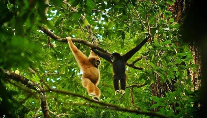 Bukit Lawang Ξενοδοχείο Εξωτερικό φωτογραφία
