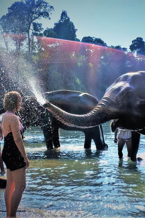 Bukit Lawang Ξενοδοχείο Εξωτερικό φωτογραφία